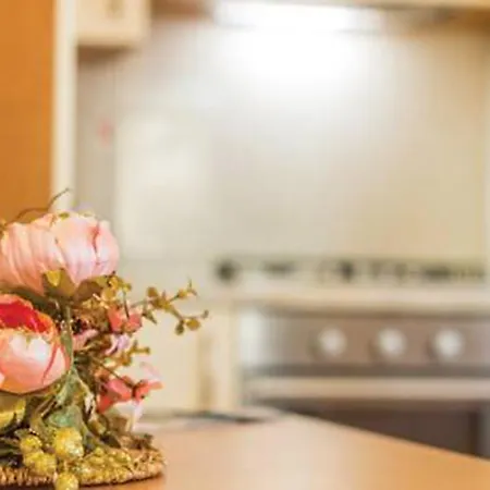 Teuta Apartment Umag